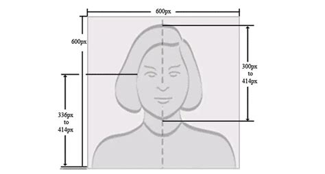 green card photo tool|Photo Requirements .